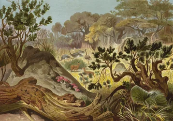 Termite Mound in Sennar